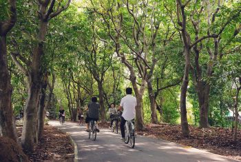 Trekking xuyên rừng Bangkok bằng xe đạp ở Bang Kra Jao